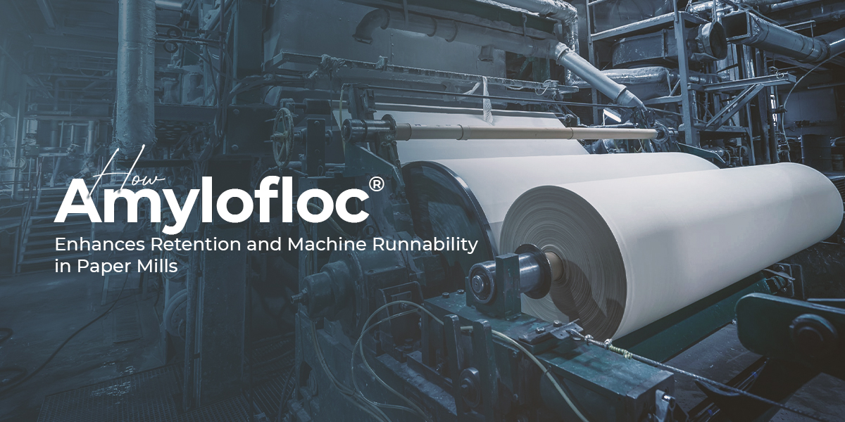 Amylofloc® modified starch improving fiber retention and machine runnability in a modern paper mill