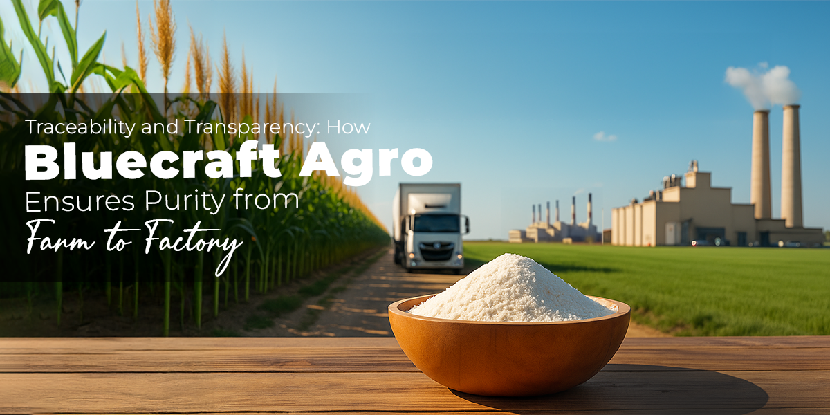 High-quality corn starch production at Bluecraft Agro ensuring traceability, purity, and transparency from farm to factory.