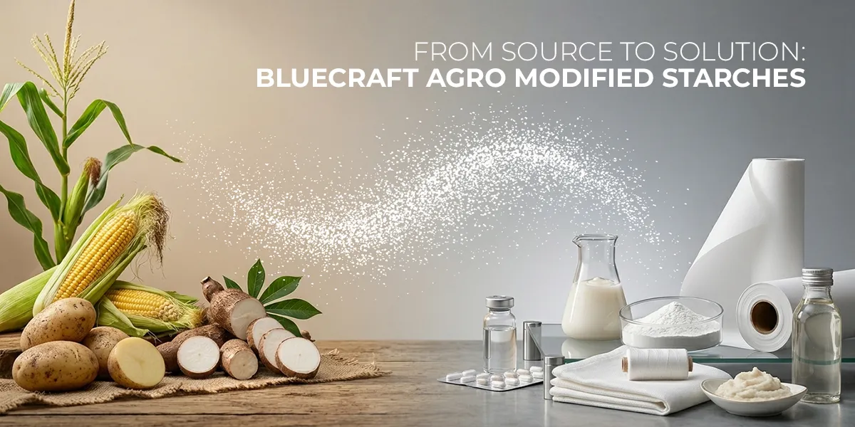 modified starch supplier in india for paper textile adhesive applications by Bluecraft Agro