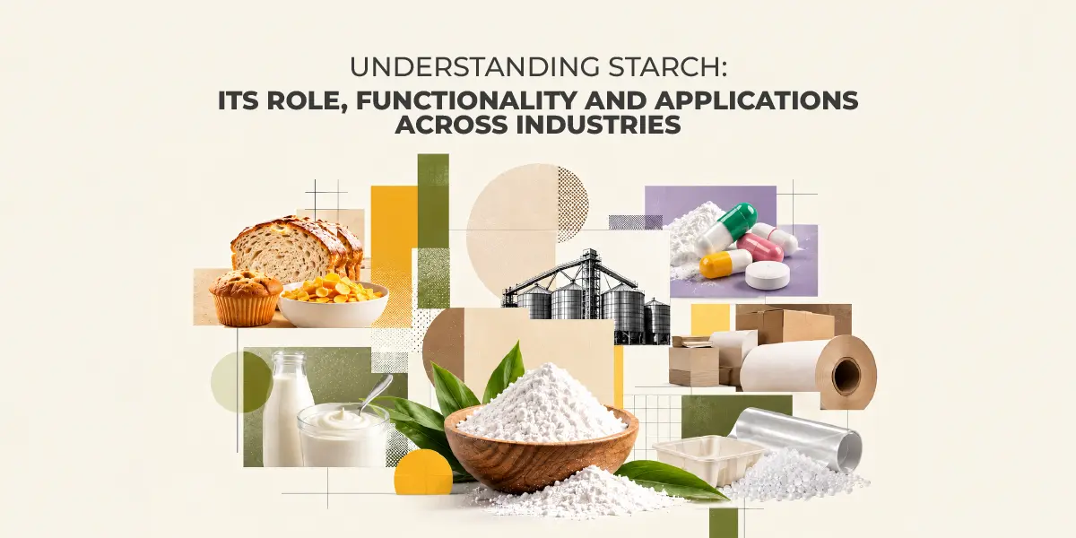 Starch functionality and applications across food, pharmaceutical, paper, textile and industrial sectors