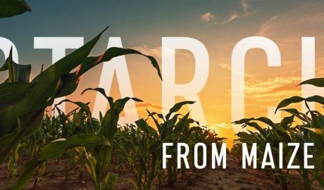 Maize - The Most Effective Material For Modified Starch Production