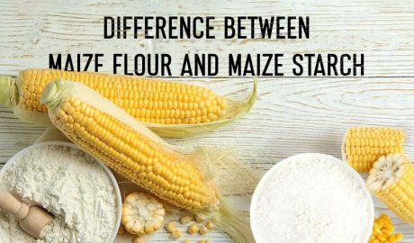 Difference Between Maize Flour & Maize Starch - Bluecraft Agro