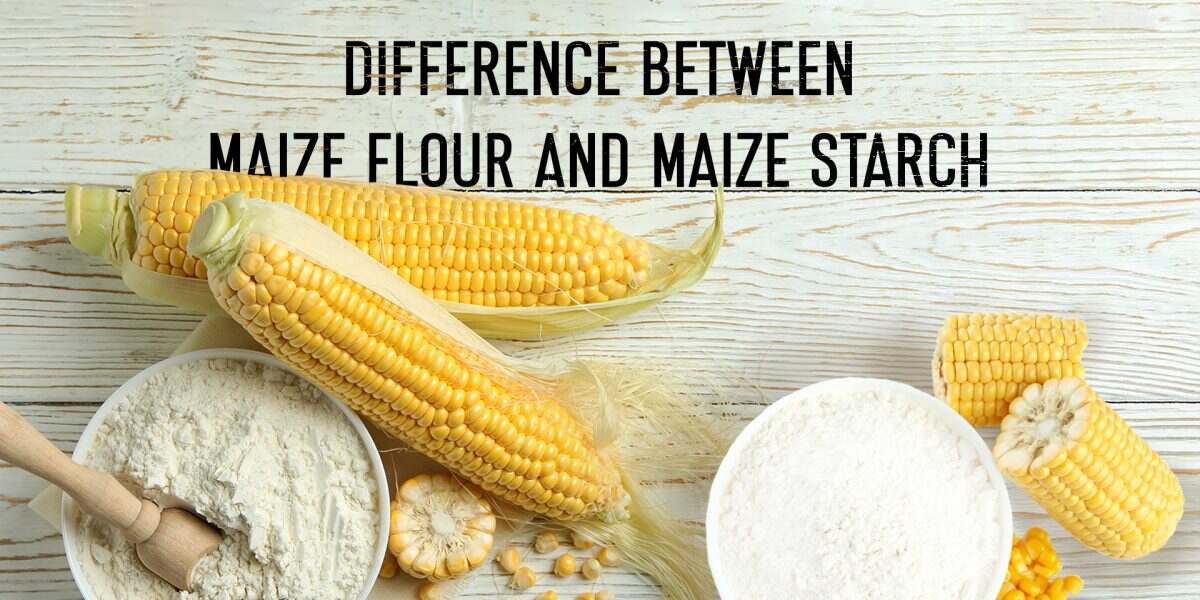 Difference Between Maize Flour & Maize Starch - Bluecraft Agro