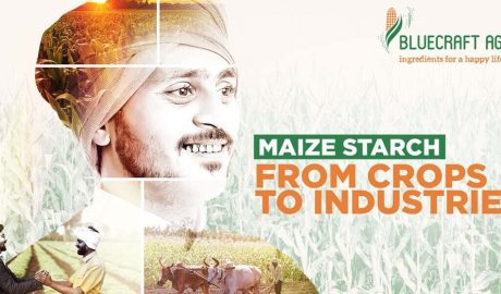 Maize Starch | From crops to industries