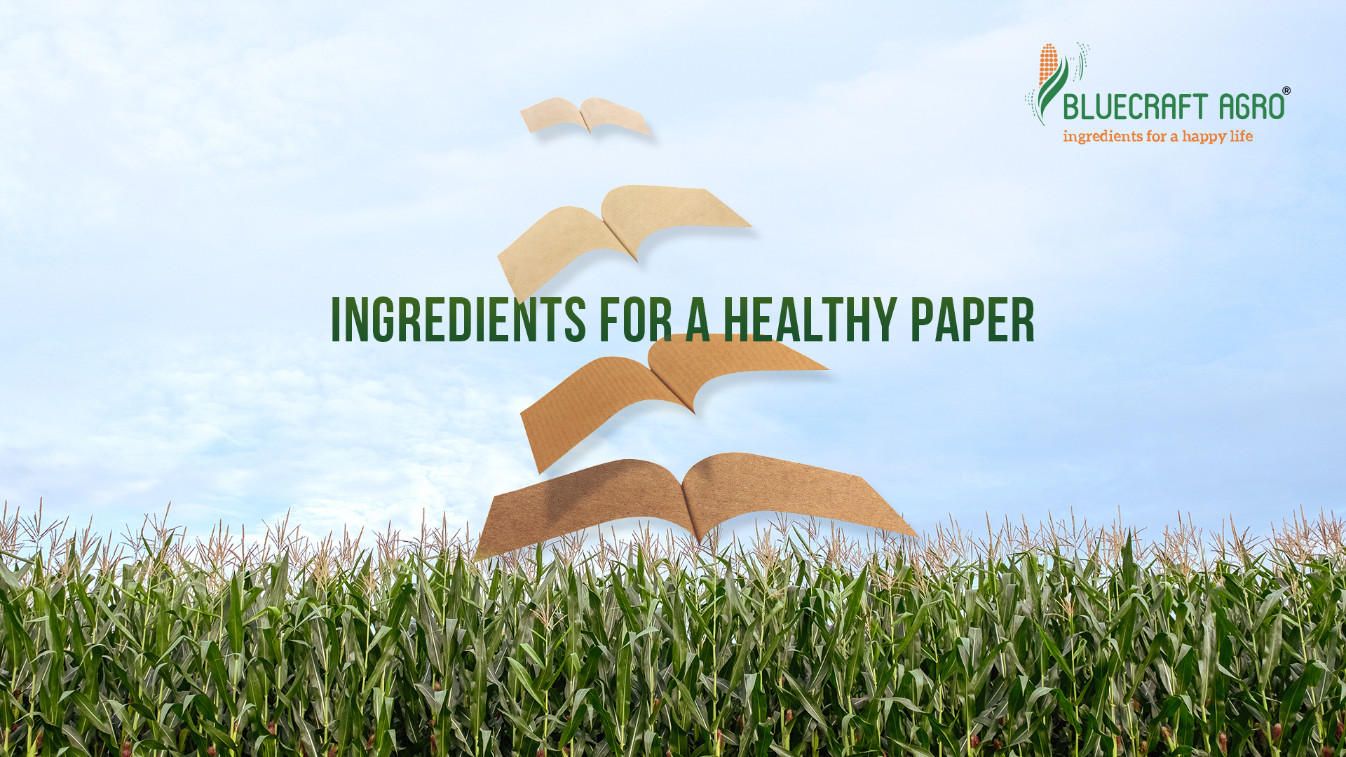 the importance of starch in baking research paper