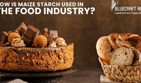 How is maize starch used in the food industry