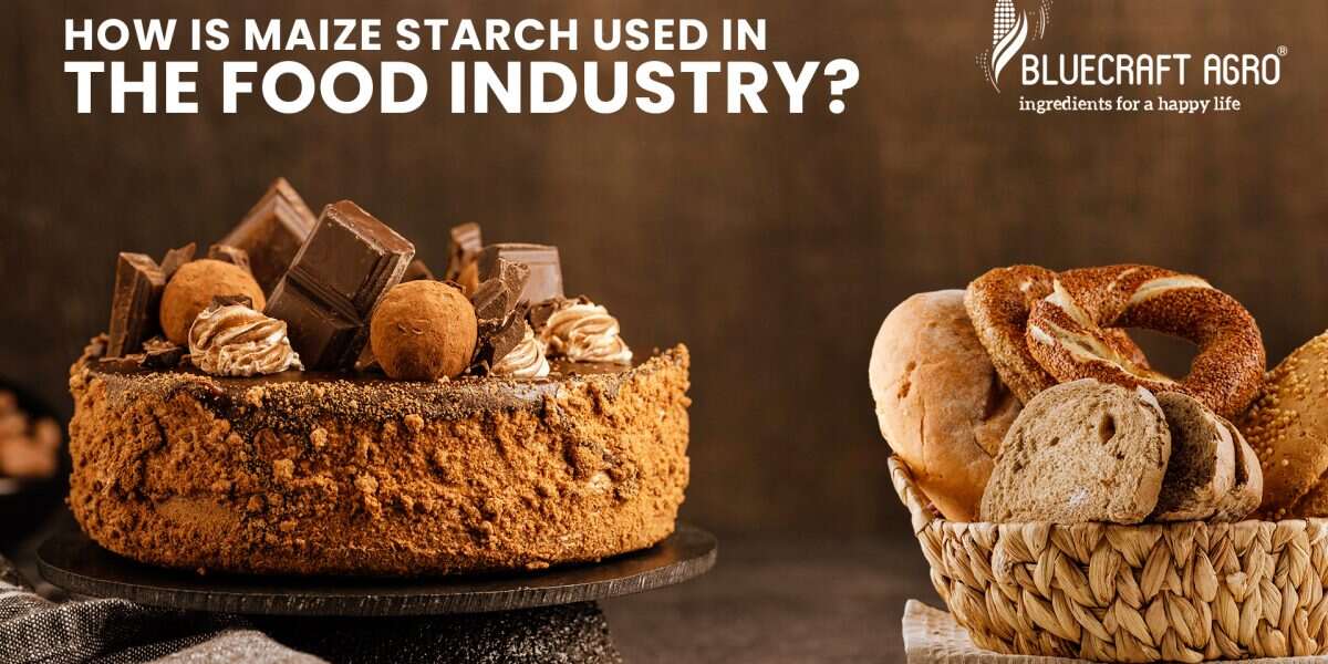 How is maize starch used in the food industry