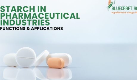 Starch in Pharmaceutical industry