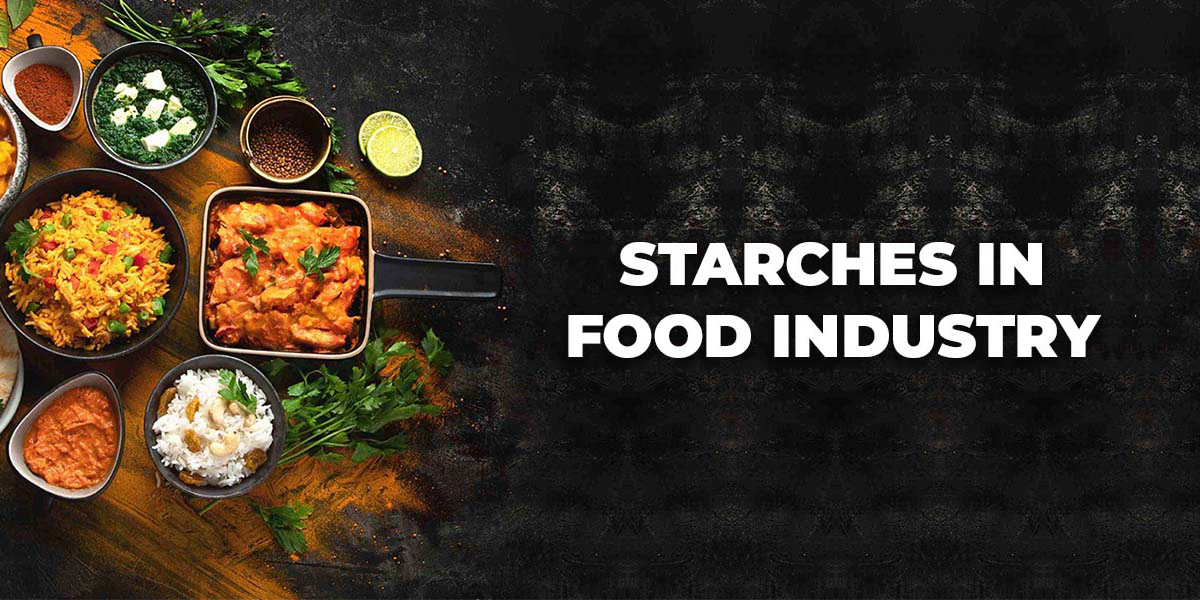 Exploring The Role of Starches in The Food Industry
