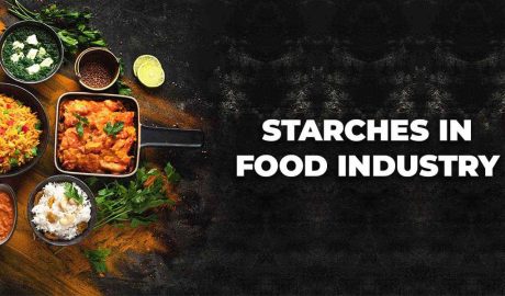 Role of Starches in the Food Industry