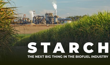 Starch: The Next Big Thing in the Biofuel Industry