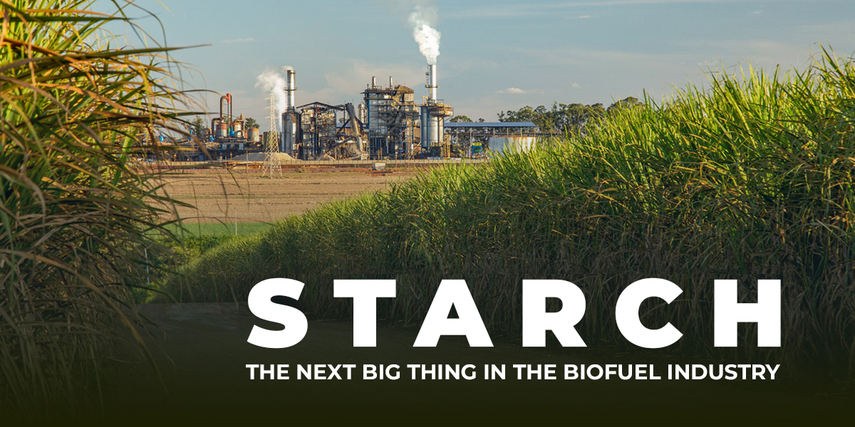 Starch: The Next Big Thing in the Biofuel Industry