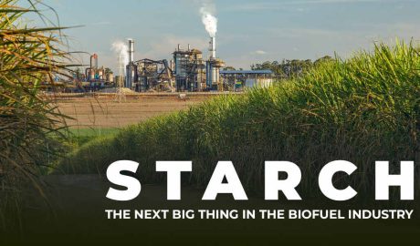 Starch The Next Big Thing in the Biofuel Industry - Bluecraft Agro