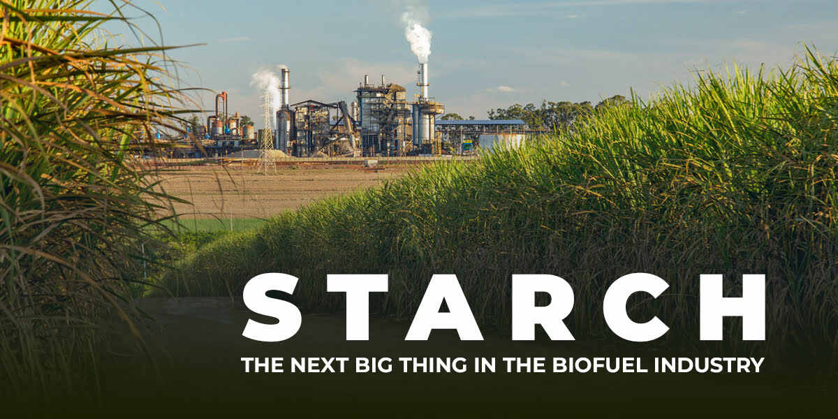 Starch The Next Big Thing in the Biofuel Industry - Bluecraft Agro