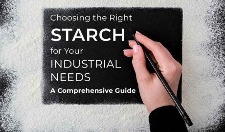 Choosing Right Starch for Your Industrial Needs