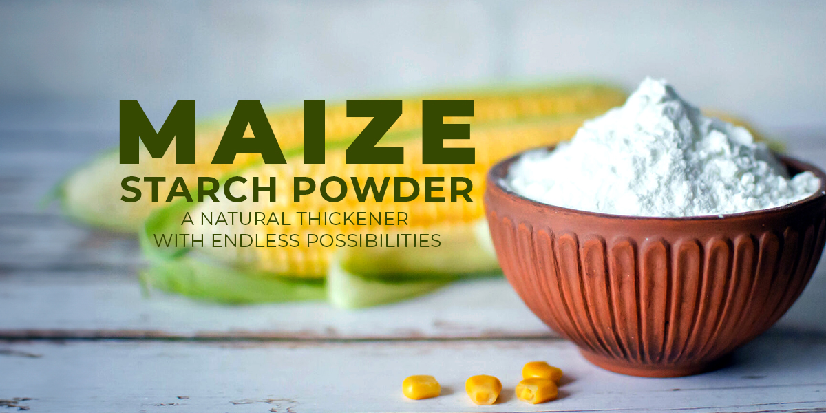 Maize Starch Powder