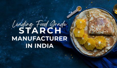 Leading Food Starch Manufacturer in India