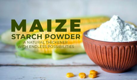 Maize Starch Powder A Natural Thickener with Endless Possibilities