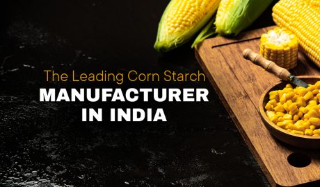 leading corn starch manufacturer in India