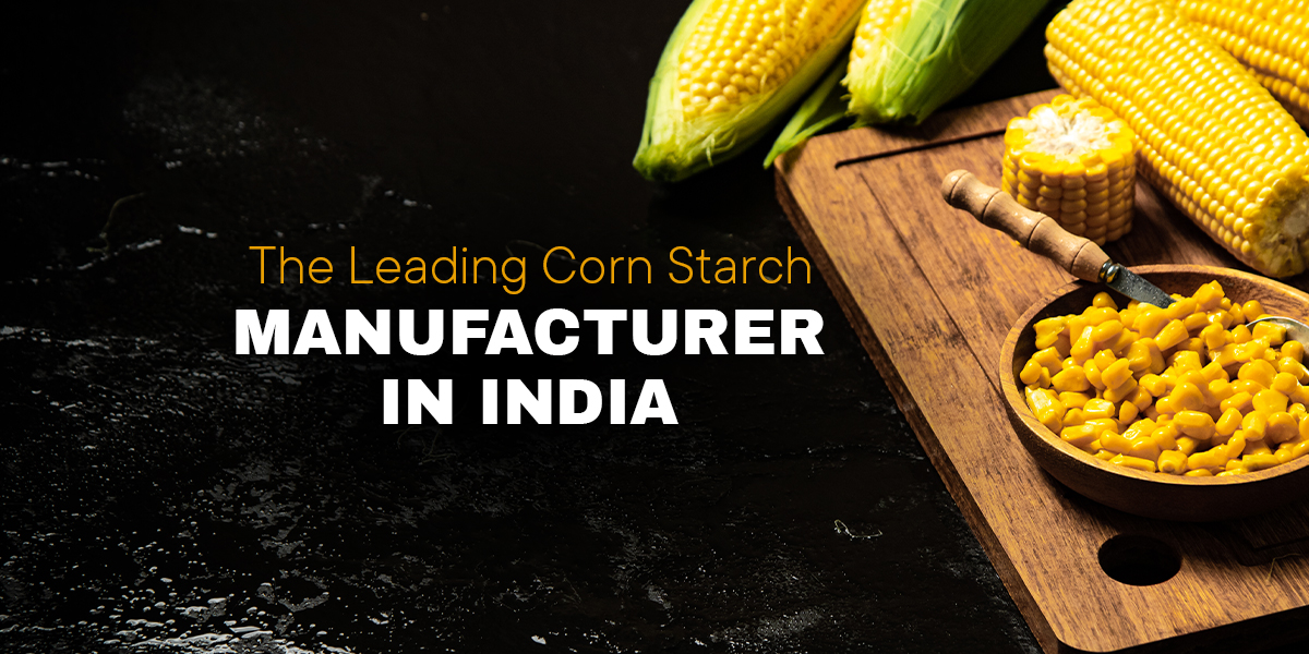 leading corn starch manufacturer in India