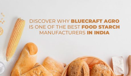 Discover why Bluecraft Agro is one of the best Food Starch manufacturers in India.