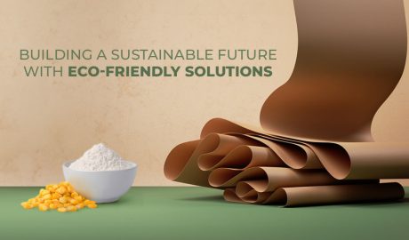 Paper Starch: Building a Sustainable Future with Eco-Friendly Solutions